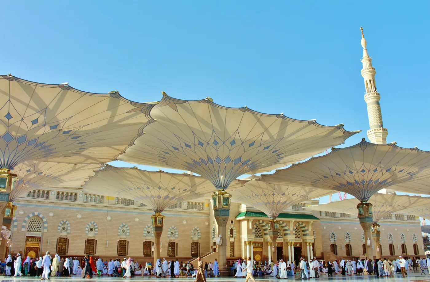 صور الباقة