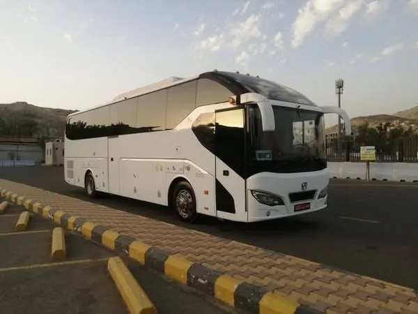 صور الباقة