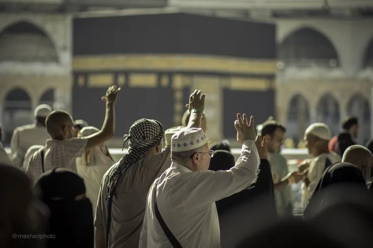 صور الباقة